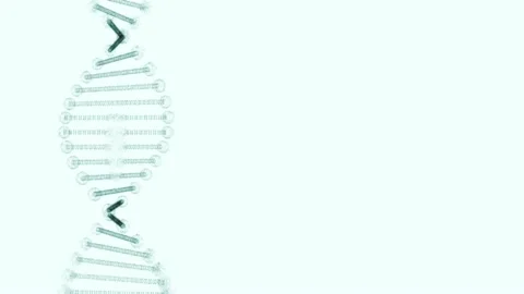 Distorted replica of DNA on a white background. Stock Footage 131099672