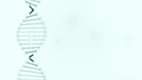 Distorted replica of a spinning DNA on a white background. Stock Footage 131100319