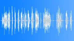 Distortion sho Sound Effect