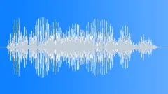 DistortionsSound Effect