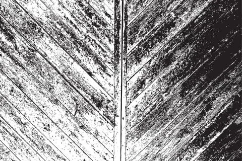 Distress Overlay Texture イラスト素材