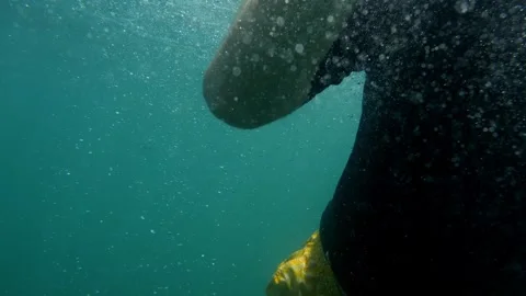 Distressed diver near surface, surrounded by air bubbles, in chilling slow-.. Video stock 250160640