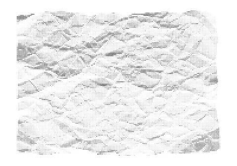 Distressed halftone dot texture simulating wrinkled paper surface. Stockillustratie