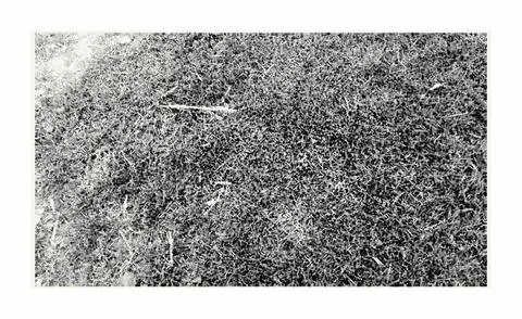 Distressed halftone overlay texture. Black and white grainy noise effect on.. Stock Illustration