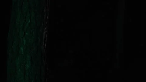 A distressed man running through a dark forest at night, escaping from an unseen Stock Footage 300951251