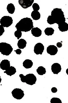 Distressed Monochrome Ink Circle Texture and Splatter Graphic on white back.. Stock Illustration