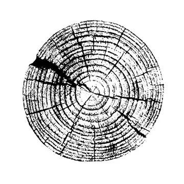 Distressed overlay texture of rough surface, old tree stump, rings on tree. G イラスト素材