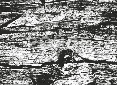 Distressed overlay wooden bark texture Stock Illustration