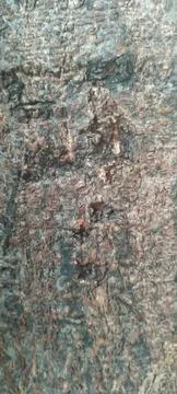 Distressed texture 库存照片