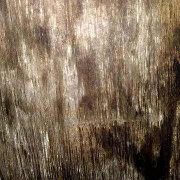 Distressed texture1 库存照片