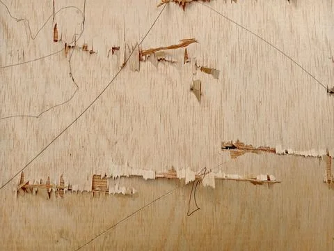 Distressed Triplex Surface with Pencil Markings Photos