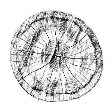 Distressed wood texture 스톡 일러스트