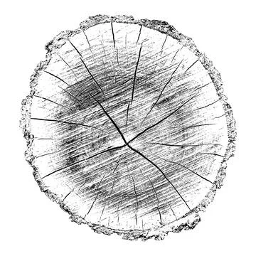 Distressed wood texture 스톡 일러스트
