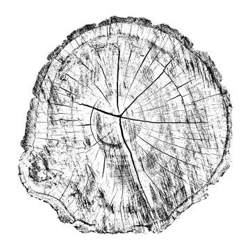 Distressed wood texture イラスト素材
