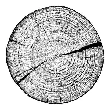 Distressed wood texture 스톡 일러스트
