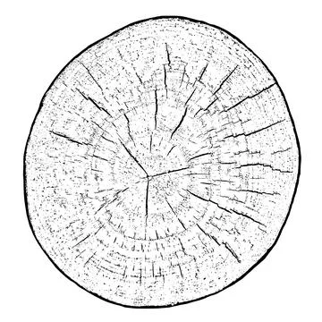 Distressed wood texture Illustrazione stock