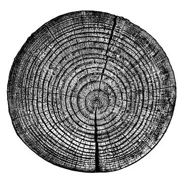 Distressed wood texture 스톡 일러스트