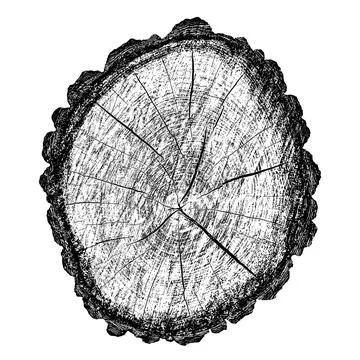 Distressed wood texture 스톡 일러스트