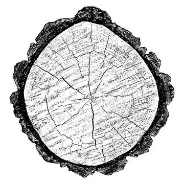 Distressed wood texture イラスト素材