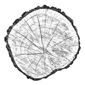 Distressed wood texture 스톡 일러스트