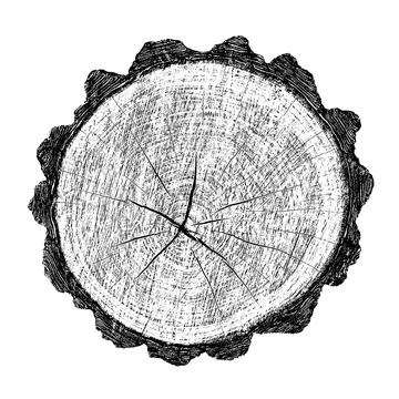Distressed wood texture Illustrazione stock
