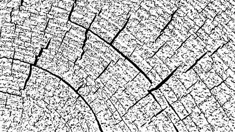 Distressed wood texture 스톡 일러스트