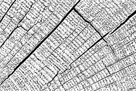Distressed wood texture 스톡 일러스트