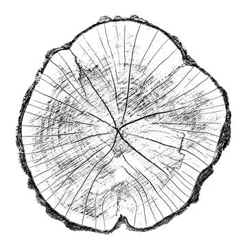 Distressed wood texture 스톡 일러스트
