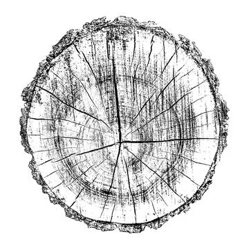 Distressed wood texture 库存插图