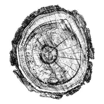 Distressed wood texture 스톡 일러스트