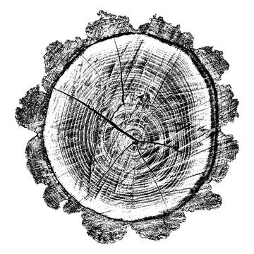 Distressed wood texture 스톡 일러스트