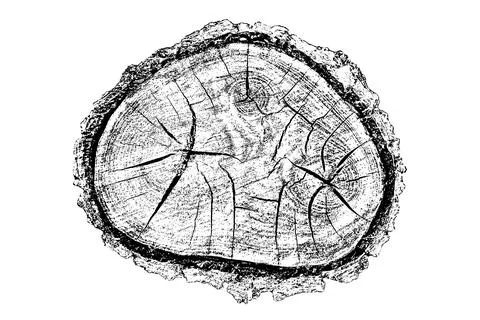 Distressed wood texture Stock-Illustration