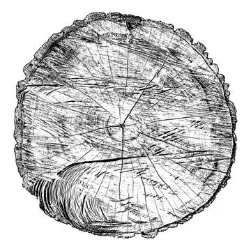 Distressed wood texture イラスト素材