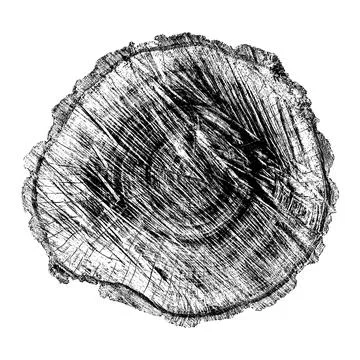 Distressed wood texture イラスト素材