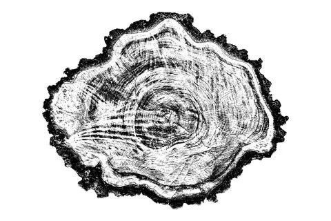 Distressed wood texture 스톡 일러스트