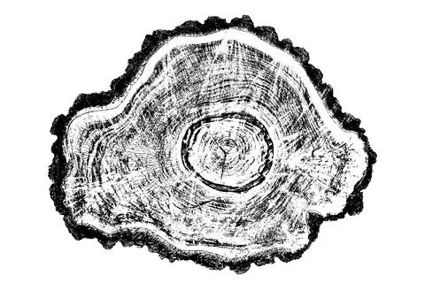 Distressed wood texture 스톡 일러스트