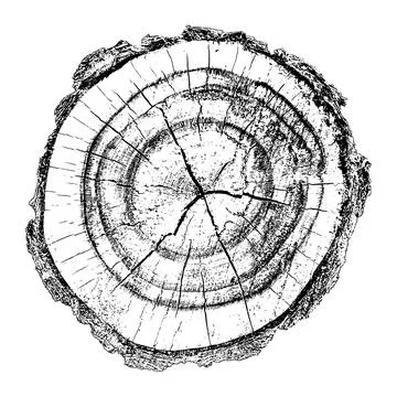 Distressed wood texture 스톡 일러스트
