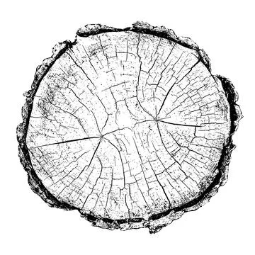 Distressed wood texture 스톡 일러스트