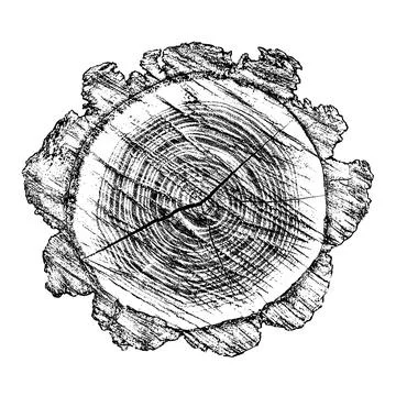 Distressed wood texture 스톡 일러스트