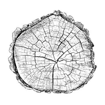 Distressed wood texture 스톡 일러스트