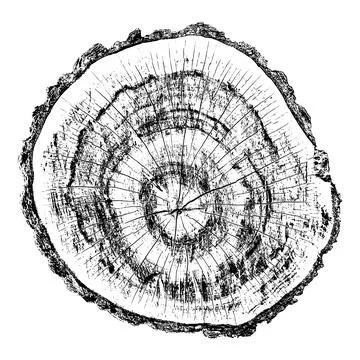 Distressed wood texture 스톡 일러스트