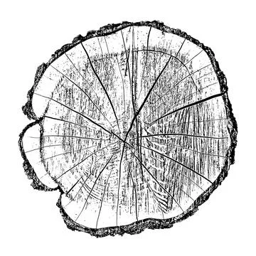 Distressed wood texture 스톡 일러스트