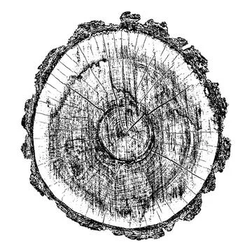 Distressed wood texture Stock Illustration