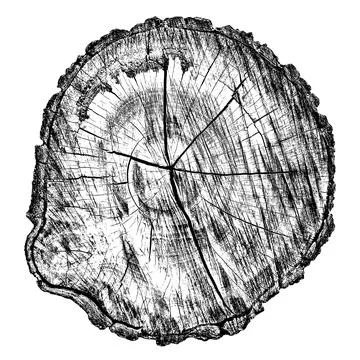 Distressed wood texture Illustrazione stock