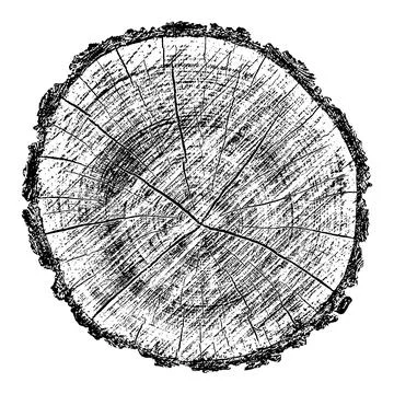 Distressed wood texture 스톡 일러스트