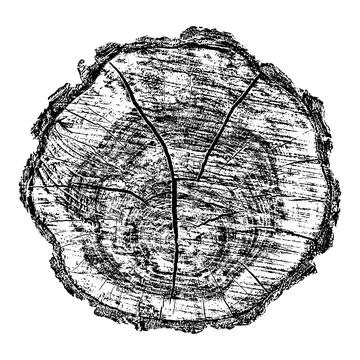 Distressed wood texture イラスト素材