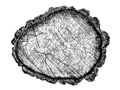 Distressed wood texture 스톡 일러스트