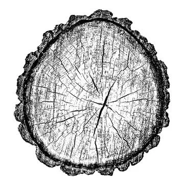 Distressed wood texture Illustrazione stock
