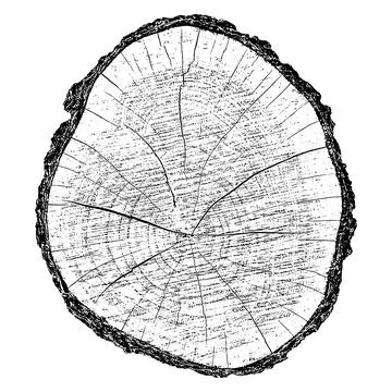Distressed wood texture 스톡 일러스트