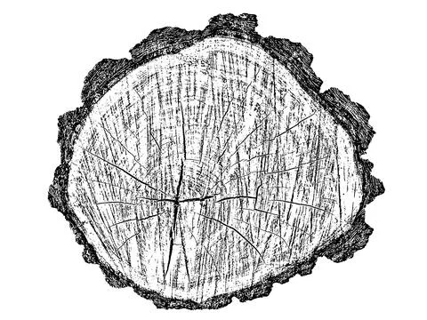 Distressed wood texture 스톡 일러스트
